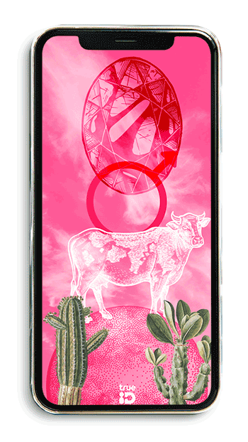 วอลเปเปอร์ วอลเปเปอร์มงคล เสริมดวง วอลเปเปอร์ 12 ราศี วอลเปเปอร์ประจำดวงดาว