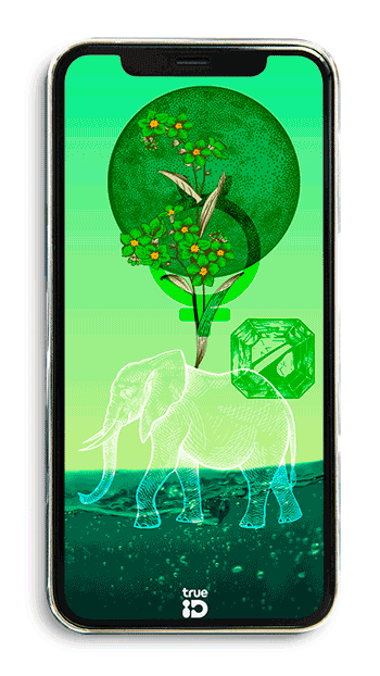 วอลเปเปอร์ วอลเปเปอร์มงคล เสริมดวง วอลเปเปอร์ 12 ราศี วอลเปเปอร์ประจำดวงดาว