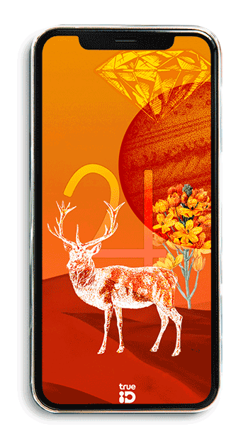 วอลเปเปอร์ วอลเปเปอร์มงคล เสริมดวง วอลเปเปอร์ 12 ราศี วอลเปเปอร์ประจำดวงดาว