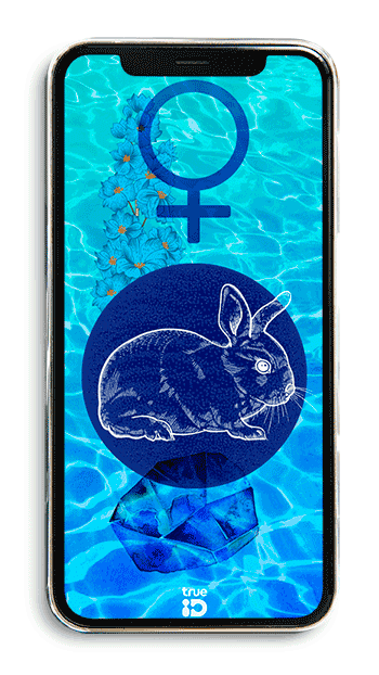 วอลเปเปอร์ วอลเปเปอร์มงคล เสริมดวง วอลเปเปอร์ 12 ราศี วอลเปเปอร์ประจำดวงดาว