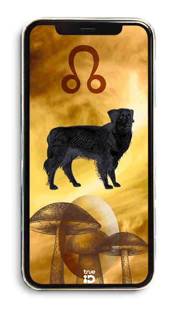 วอลเปเปอร์ วอลเปเปอร์มงคล เสริมดวง วอลเปเปอร์ 12 ราศี วอลเปเปอร์ประจำดวงดาว