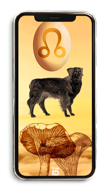 วอลเปเปอร์ วอลเปเปอร์มงคล เสริมดวง วอลเปเปอร์ 12 ราศี วอลเปเปอร์ประจำดวงดาว