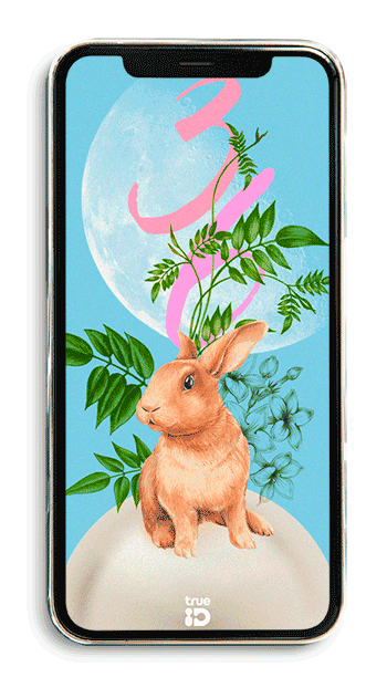 วอลเปเปอร์สายมู วอลเปเปอร์มงคล เสริมดวง วอลเปเปอร์ปีเถาะ วอลเปเปอร์ปีกระต่าย วอลเปเปอร์เสริมดวงปี 2566