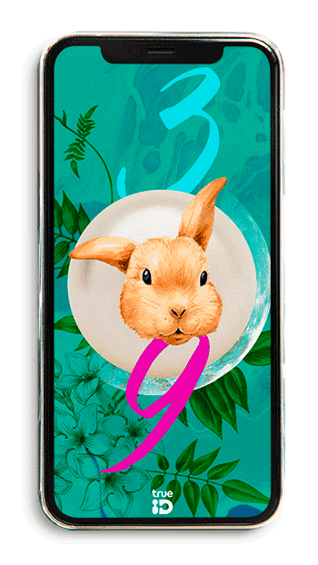 วอลเปเปอร์สายมู วอลเปเปอร์มงคล เสริมดวง วอลเปเปอร์ปีเถาะ วอลเปเปอร์ปีกระต่าย วอลเปเปอร์เสริมดวงปี 2566