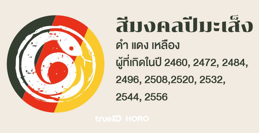 สีมงคลรายปี สีมงคล 12 นักษัตร สีมงคลปี 2566