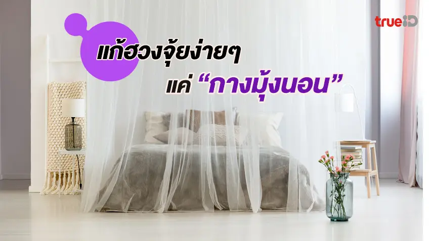 แก้ฮวงจุ้ยด้วยตัวเอง แค่ กางมุ้งนอน ปรับฮวงจุ้ยห้องนอนได้ง่ายๆ