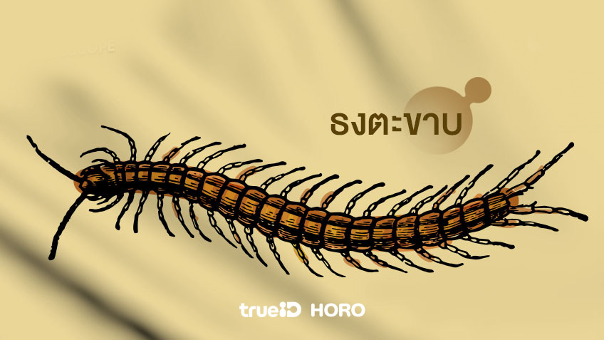 ธงกฐิน ตำนานธงกฐิน