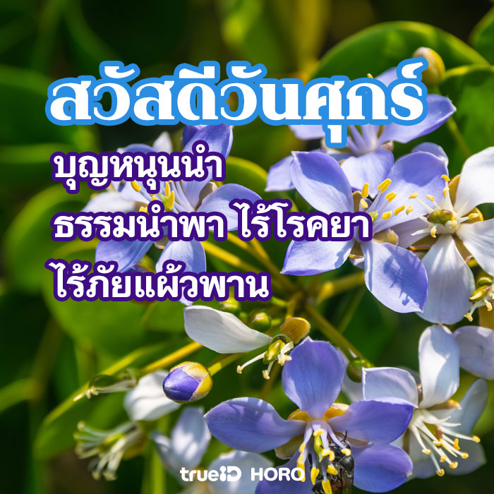 แจกฟรี! รูปสวัสดีวันศุกร์ดอกไม้สวยๆ 2566 พร้อมคำอวยพรมงคล... แจกฟรี! รูปสวัสดีวันศุกร์ดอกไม้สวยๆ 2566 พร้อมคำอวยพรมงคล...