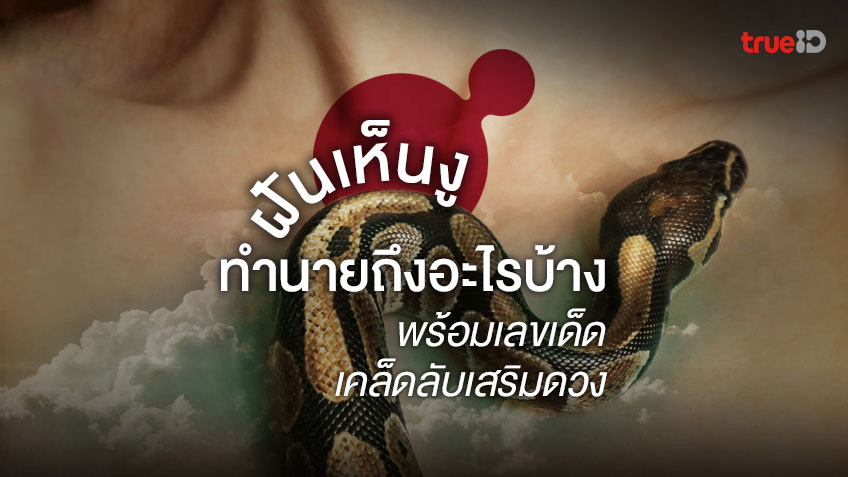 ฝันเห็นงู ฝันเห็นงูใหญ่ หรือ ฝันว่างูรัด 2566 ทำนายฝันว่าอะไร เลขอะไร อัปเดต 2023