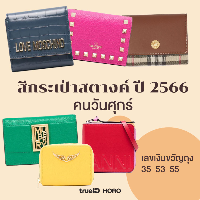 สีกระเป๋าสตางค์ตามวันเกิด 2566  สีกระเป๋าสตางค์ 2566 สีมงคล สีมงคลปี 2566