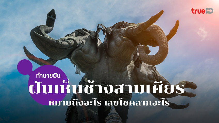 ฝันเห็นช้างสามเศียร ฝันเห็นช้างเอราวัณ 3 เศียร ทำนายฝันว่าอะไร เลขอะไร