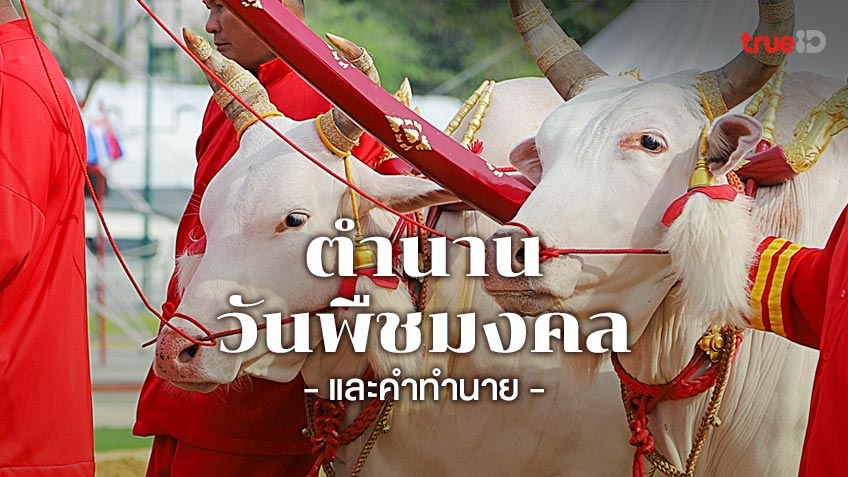 วันพืชมงคลปี 2568 ตำนานวันพืชมงคล และคำทำนายต่างๆ ที่จะเกิดขึ้นกับบ้านเมือง โดย TrueID Horoscope