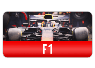 Virtual F1