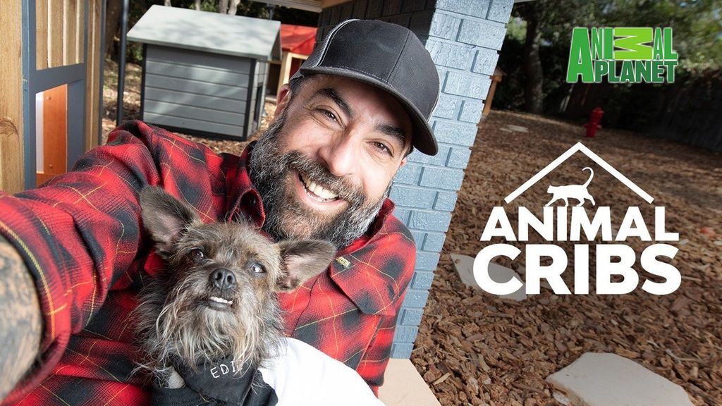 ANIMAL CRIBS (SEASON 2) ANIMAL CRIBS (SEASON 2) # BUNNY BEACH BUNGALOW