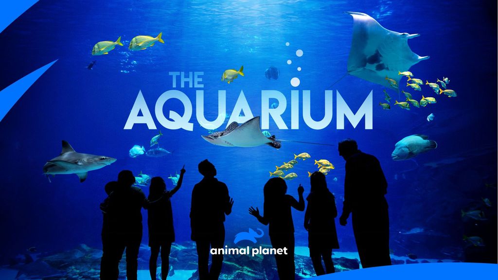 THE AQUARIUM THE AQUARIUM ตอนที่ 1 # SLIMY IS THE NEW FUZZY