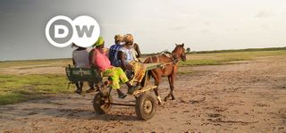 EP.02 | Going Green Senegal: Mangroves for the Future