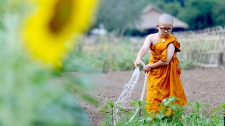 Ep.05 : สรุปกิจวัตรประจำวัน สามเณรปลูกปัญญาธรรม ปี 3