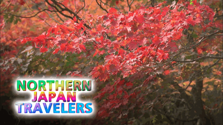 Northern Japan Travelers