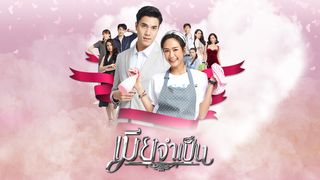 เมียจำเป็น