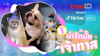 Pets EP1 น่ารักมั้ยเจ้าทาส