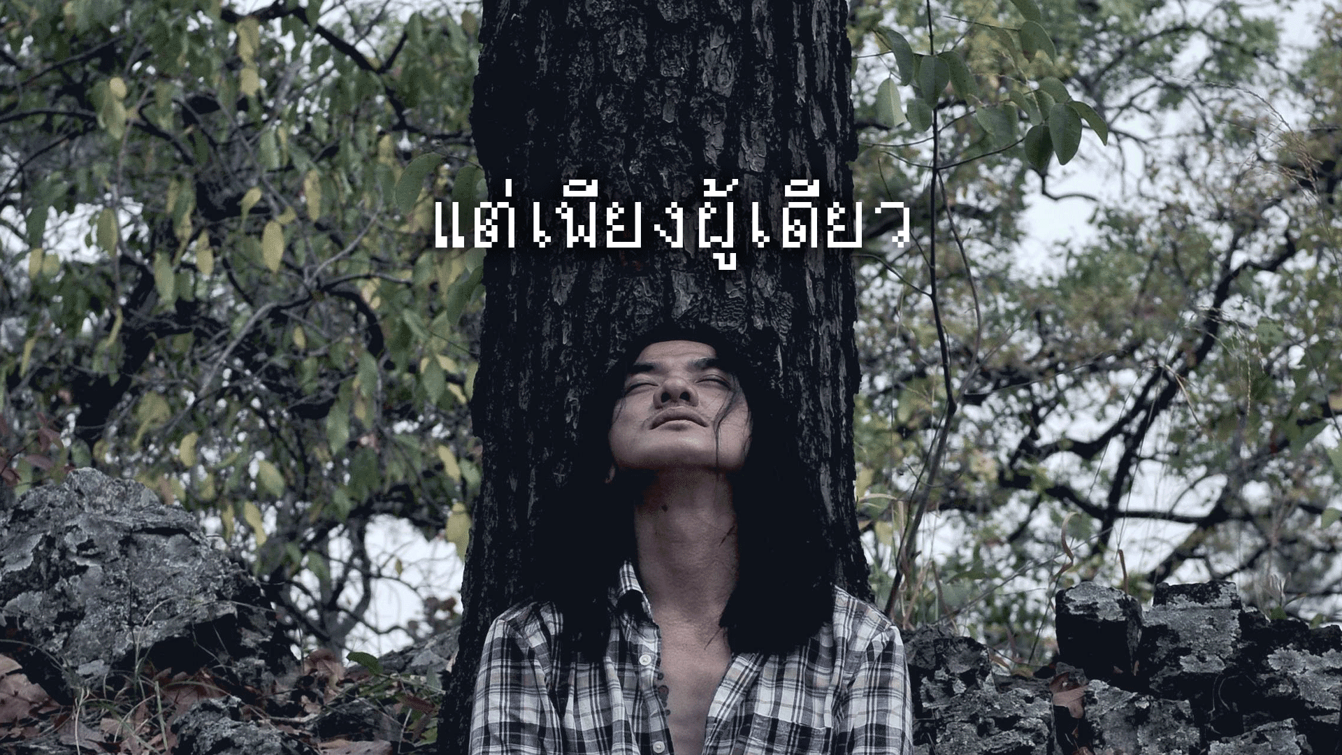 แต่เพียงผู้เดียว
