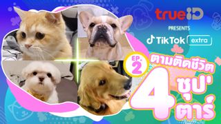 Pets EP2 ตามติดชีวิต 4 ซุป'ตาร์