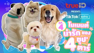 Pets EP4 โมเมนต์น่ารักของ 4 ซุป'ตาร์