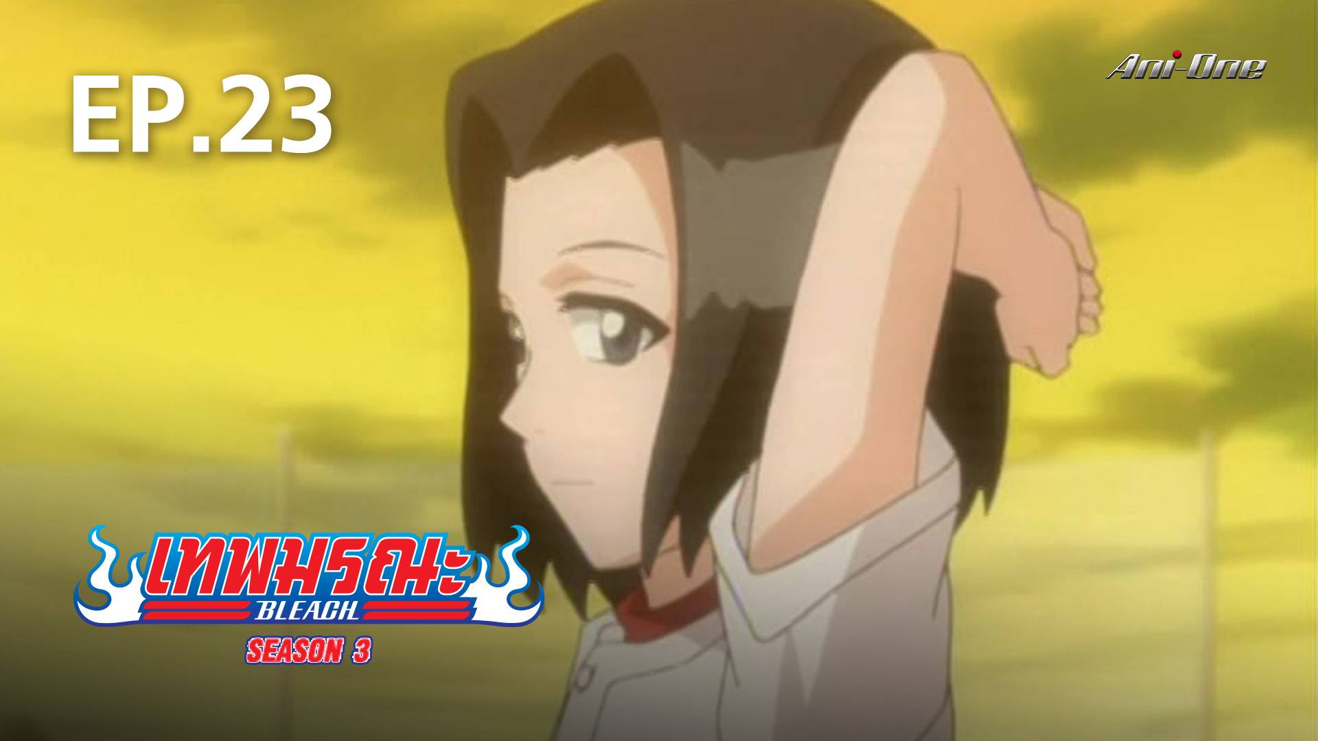 EP.23  Bleach Season 3 - Watch Series Online