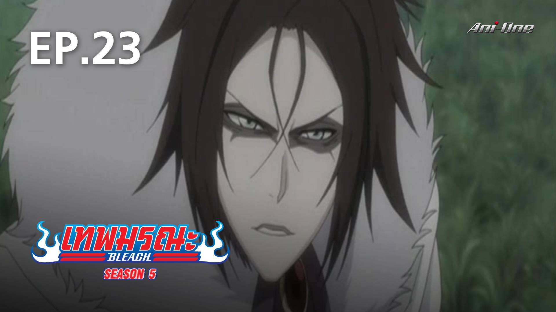 EP.23  Bleach Season 5 - Watch Series Online