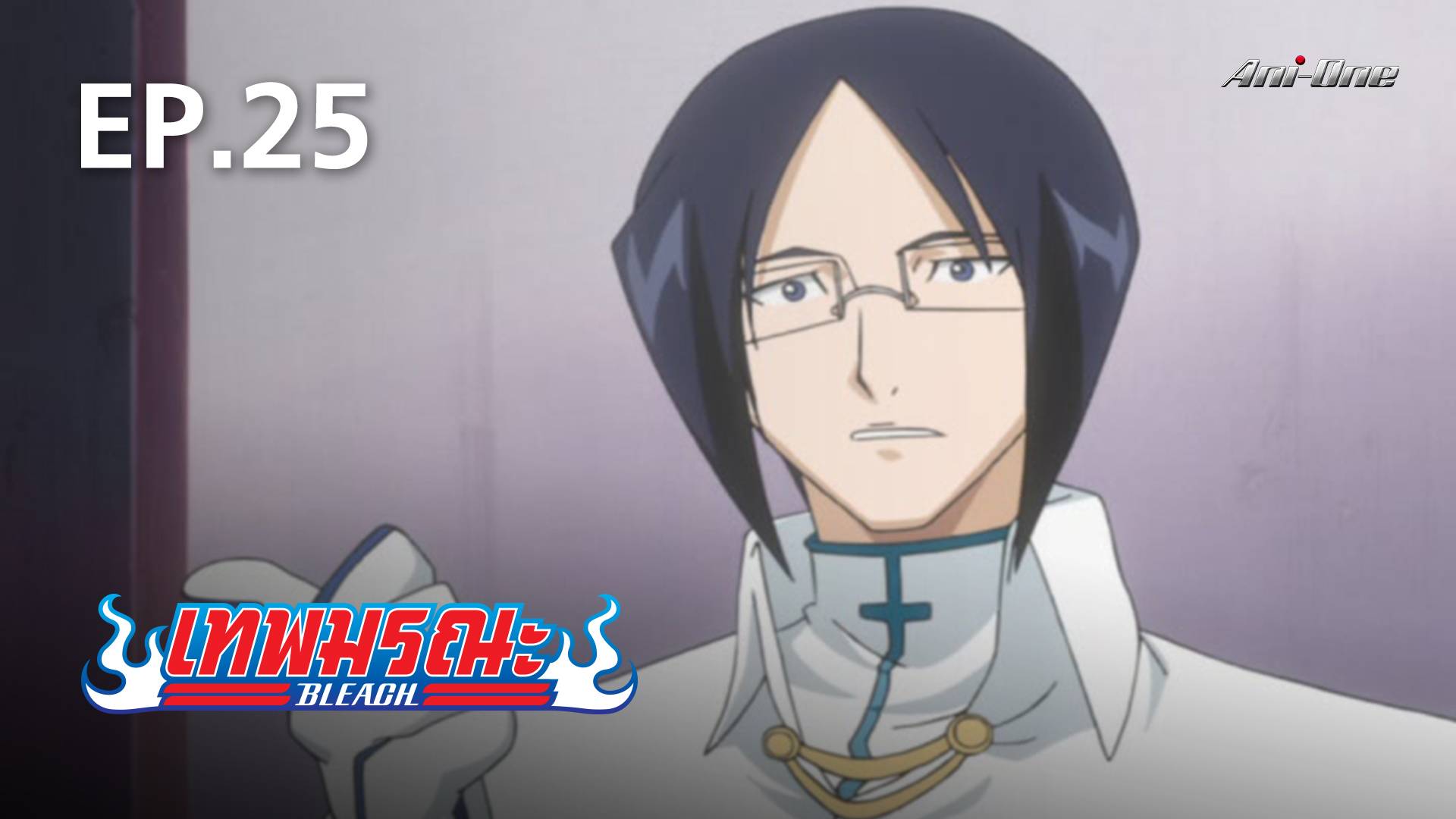 EP.25  Bleach Season 1 - Watch Series Online