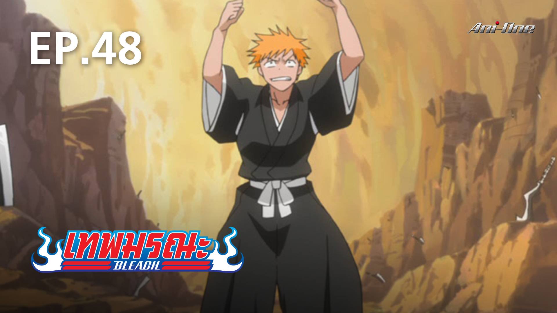 EP.48 | Bleach Season 1