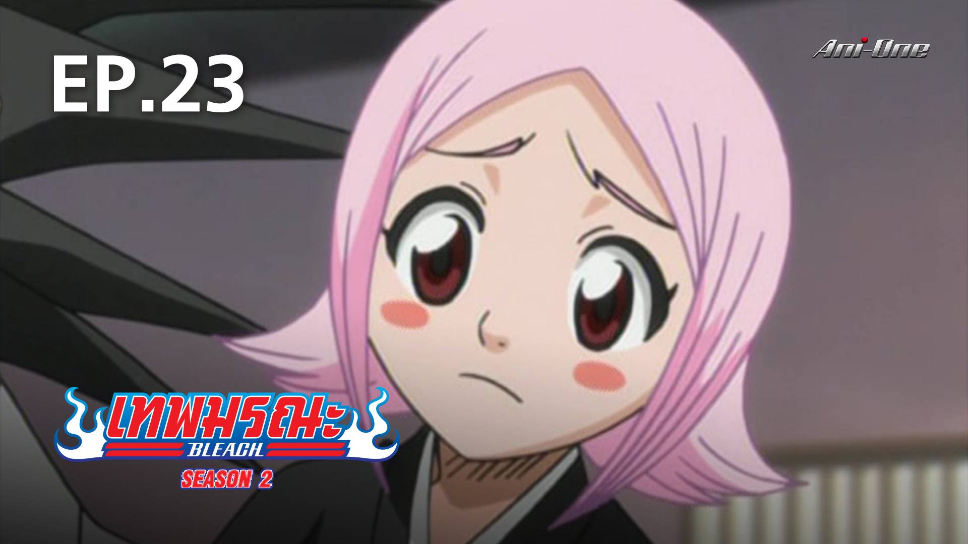 EP.23  Bleach Season 2 - Watch Series Online