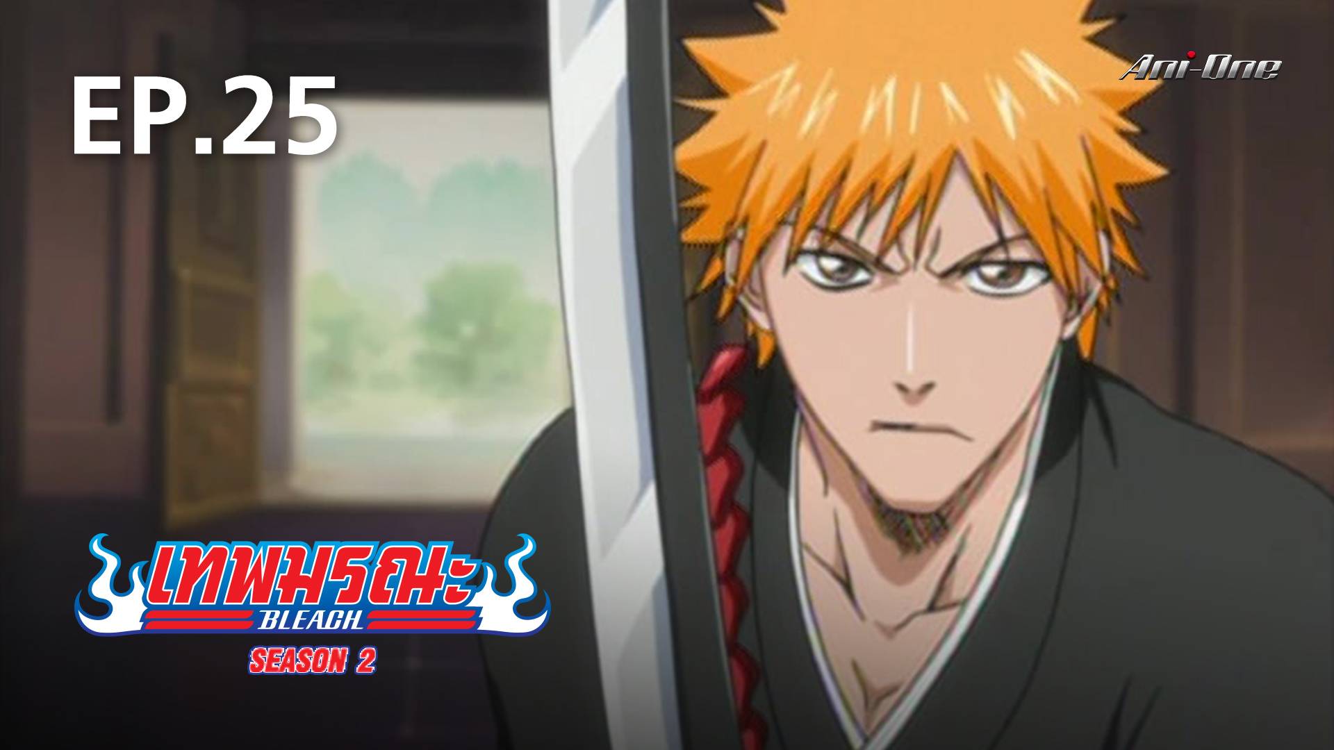 EP.25  Bleach Season 1 - Watch Series Online