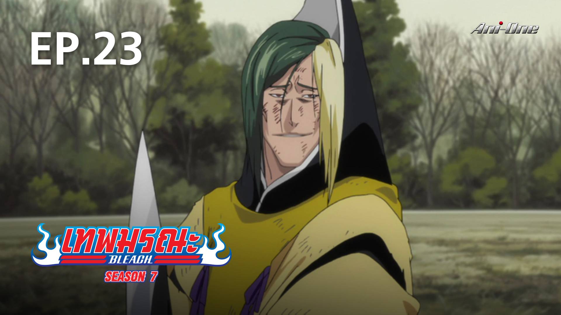 EP.23  Bleach Season 5 - Watch Series Online