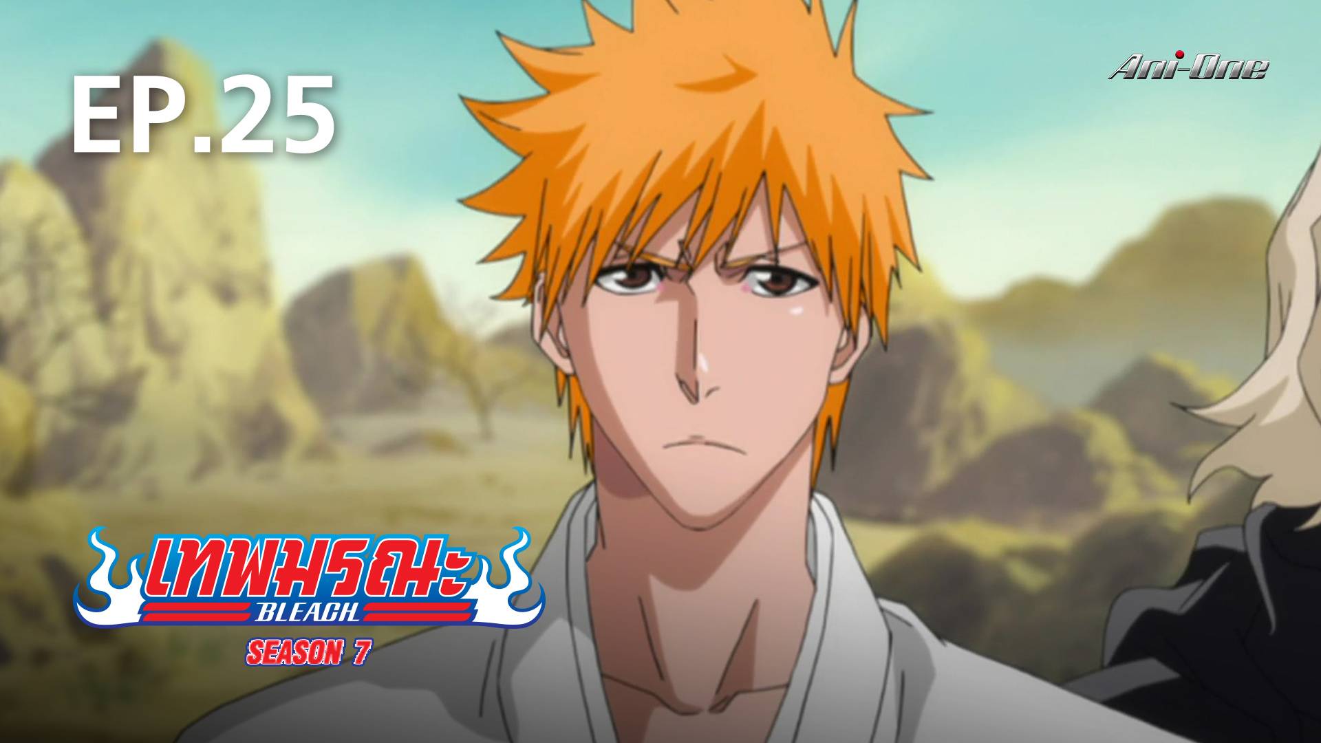 EP.25  Bleach Season 7 - Watch Series Online