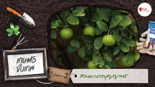 Ep.13 | เกษตรขั้นเทพ SS2 ตอน สวนมะนาวบุญญาพร