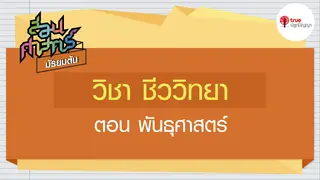 Ep6. วิทยาศาสตร์ | สอนศาสตร์ ม.ต้น ชีววิทยา ตอน พันธุศาสตร์
