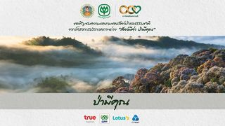 series ชุดระบำธรรมชาติ | 'สัตว์มีค่า ป่ามีคุณ' ตอน ป่ามีคุณ