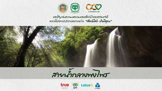 series ชุดระบำธรรมชาติ | 'สัตว์มีค่า ป่ามีคุณ' ตอน สายน้ำกลางพงไพร