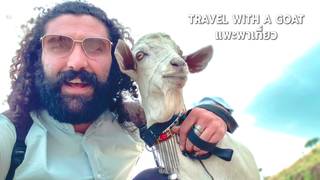 TRAVEL WITH A GOAT