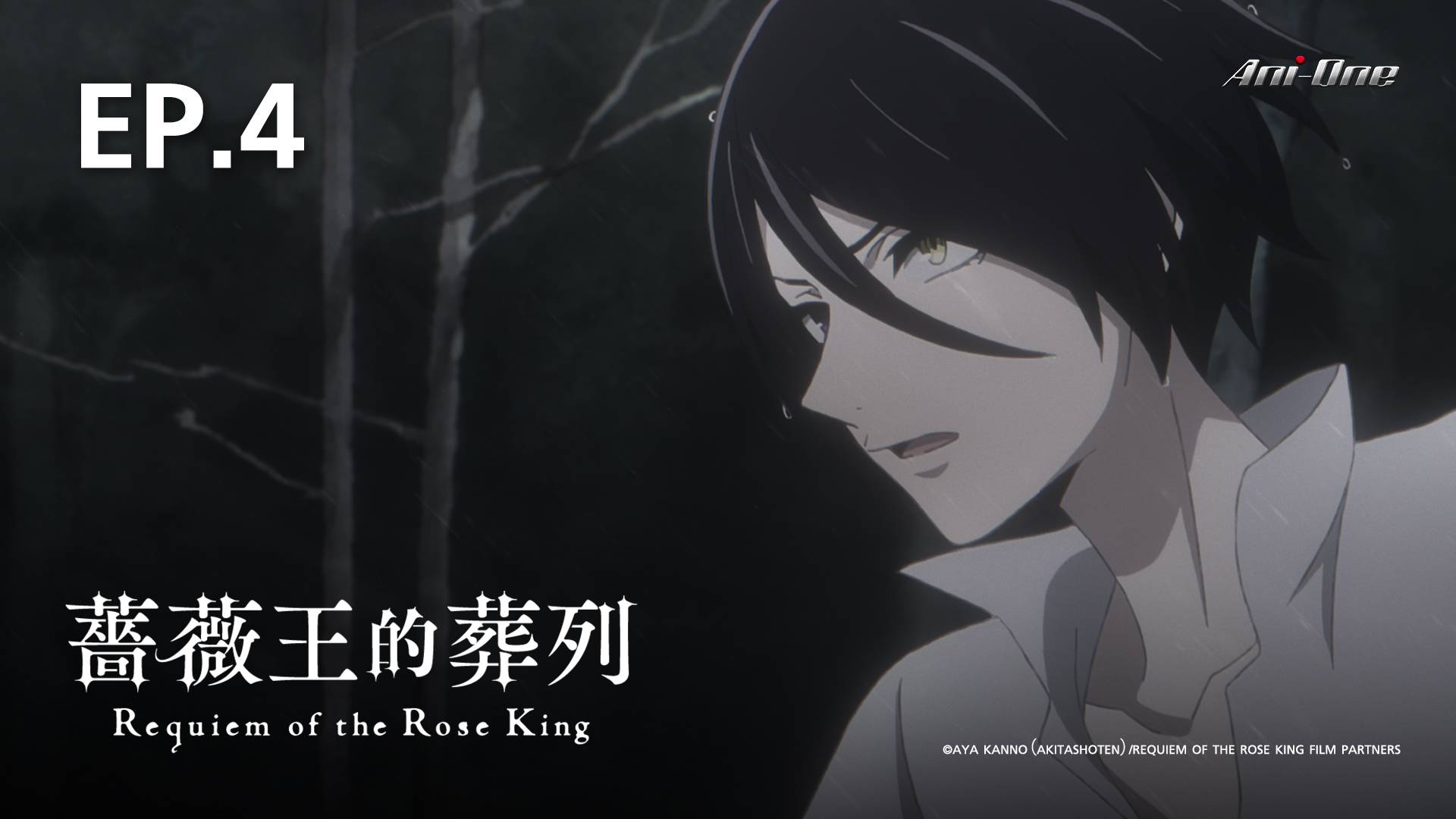 English Dub Season Review: Requiem of the Rose King Season One