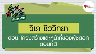 Ep4. ชีววิทยา | สอนศาสตร์ ม.ปลาย ตอนโครงสร้างและหน้าที่ของพืชดอก ตอนที่ 3