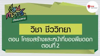 Ep3. ชีววิทยา | สอนศาสตร์ ม.ปลาย ตอนโครงสร้างและหน้าที่ของพืชดอก ตอนที่ 2