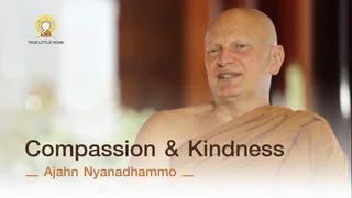 Ep.9 Compassion & Kindness | Ajahn Nyanadhammo