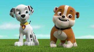 EP.810 | PAW Patrol Season 8
