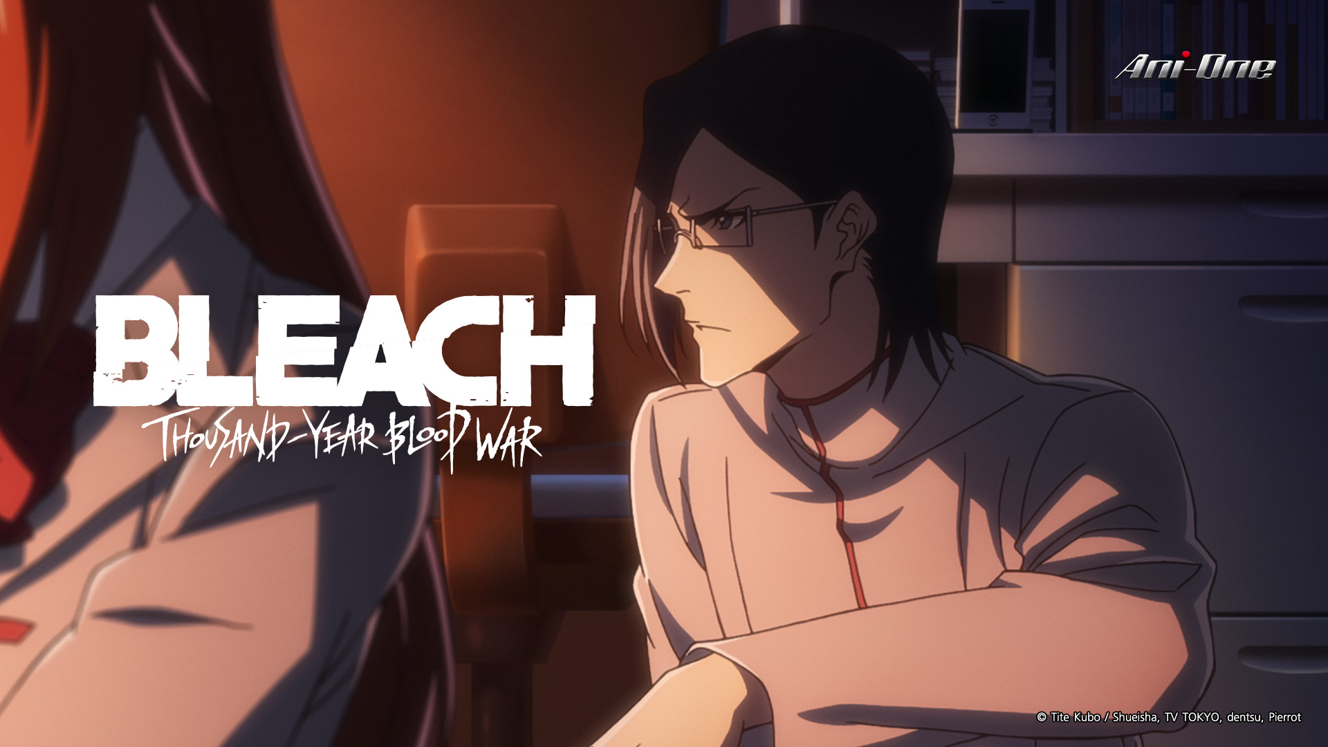 How To Watch Bleach On Netflix From The US (All Seasons)