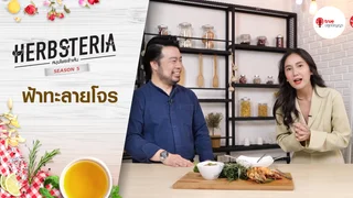 Ep.1 | Herbsteria SS5 ตอน ฟ้าทะลายโจร