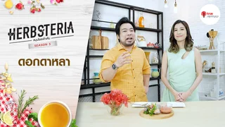 Ep.3 | Herbsteria SS5 ตอน ดอกดาหลา