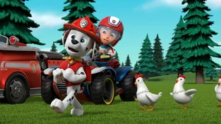 EP.908 | PAW Patrol Season 9