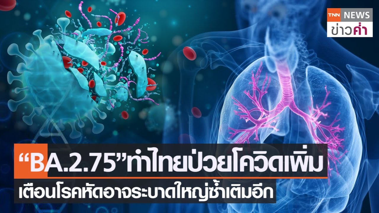 “BA.2.75” made more Thais sick with COVID-19  Warning of measles outbreak that may worsen again | TNN evening news | 24 Nov. ’22 – Watch online movies – TrueID – Movie